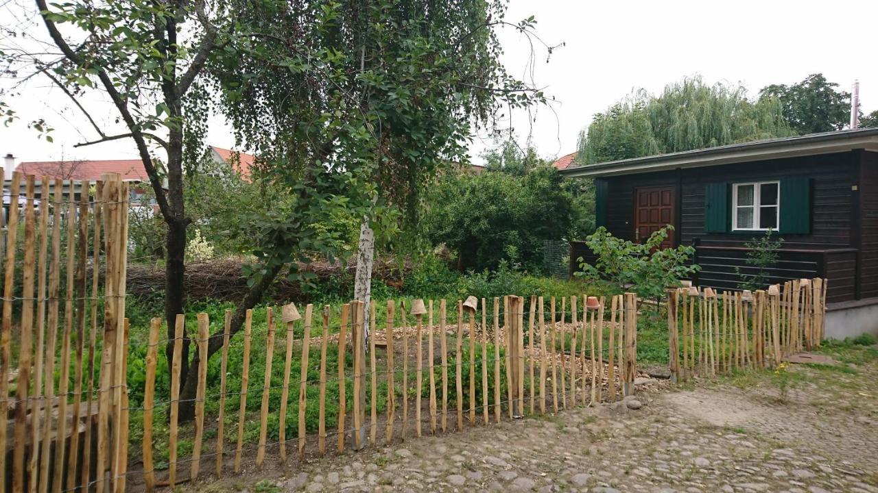 Huette Mit Herz Im Harz Lejlighed Meisdorf Eksteriør billede