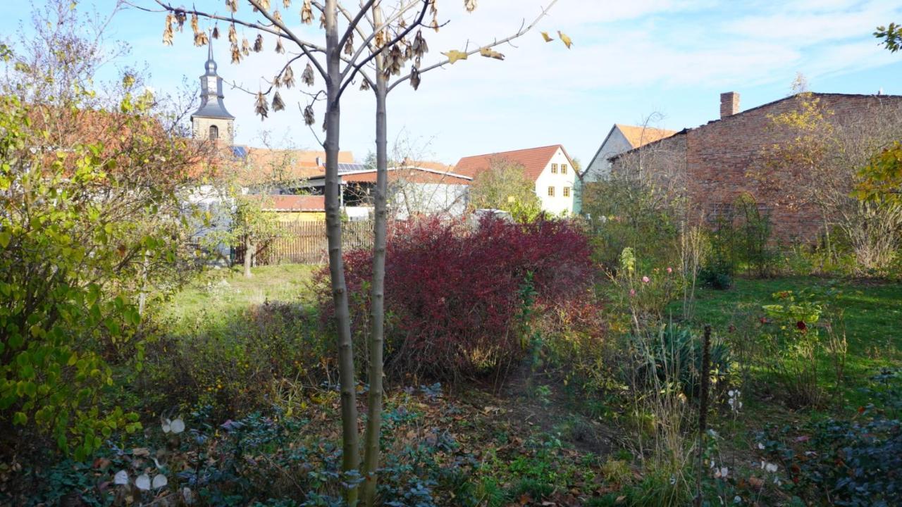 Huette Mit Herz Im Harz Lejlighed Meisdorf Eksteriør billede